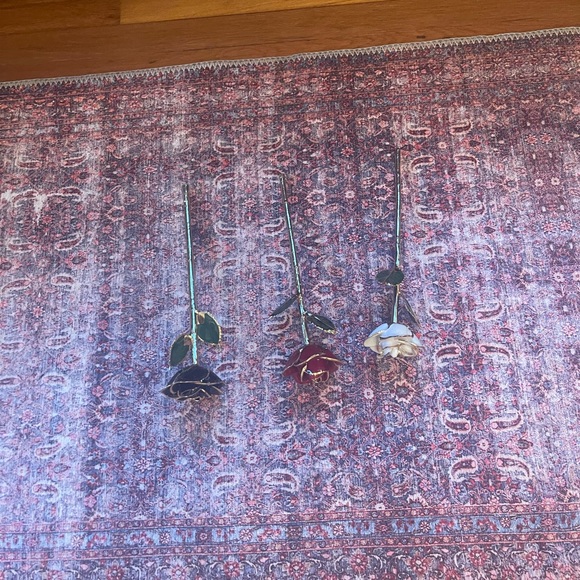 Roses🌹🥀💐 - Picture 5 of 11